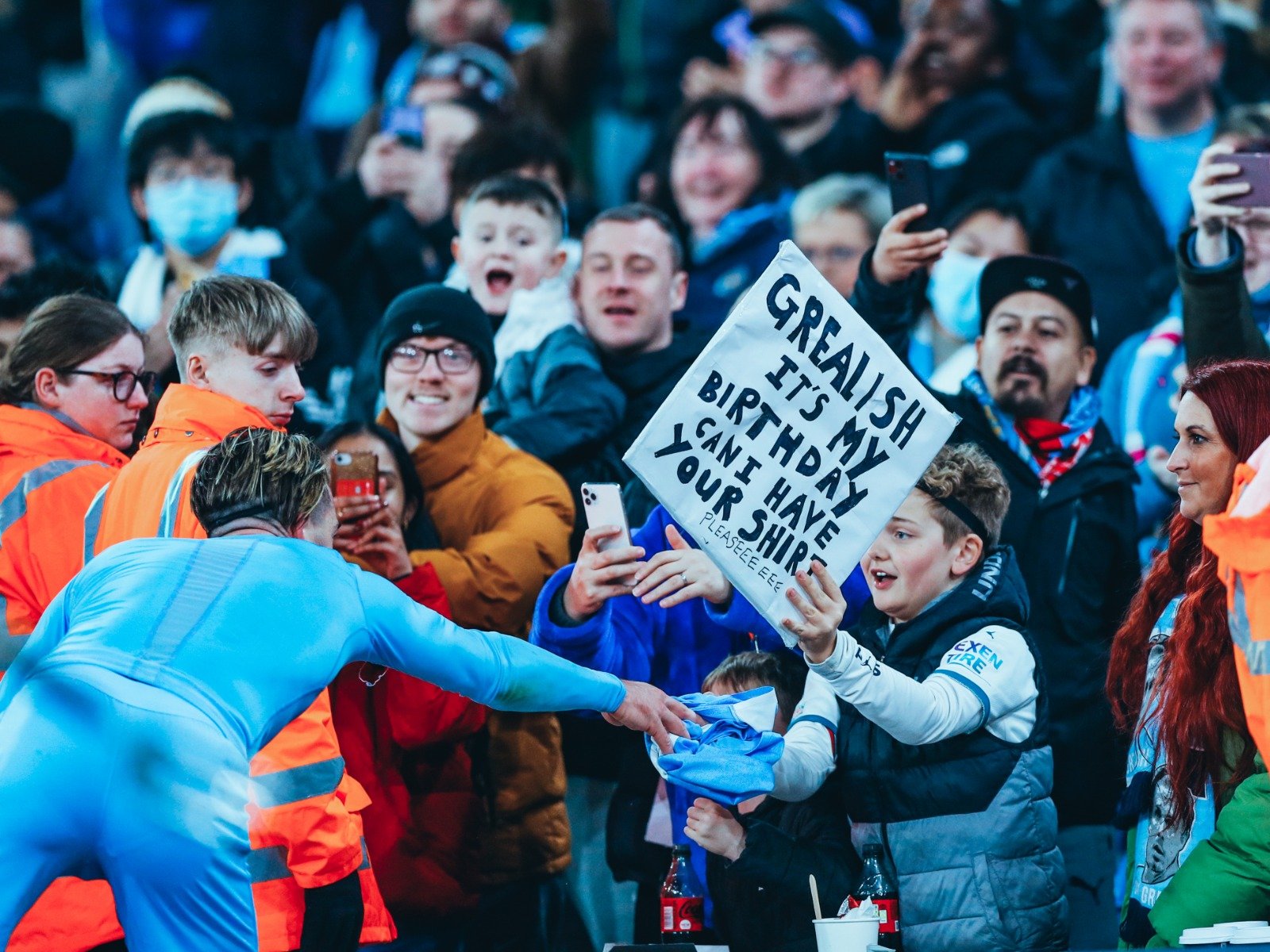 红树林少体 红树林少体