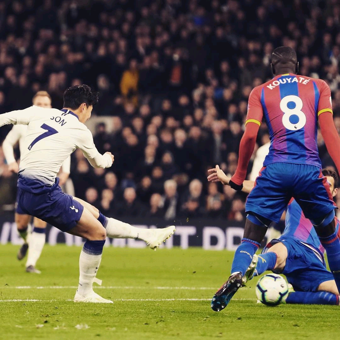 机构筹集了 机构筹集了